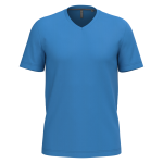 Light Royal Blue ?