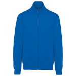 Light Royal Blue ?